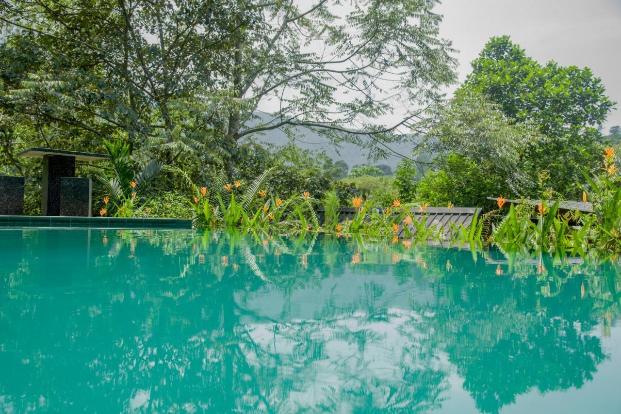 Sinharaja Forest Gate Deniyaya Buitenkant foto