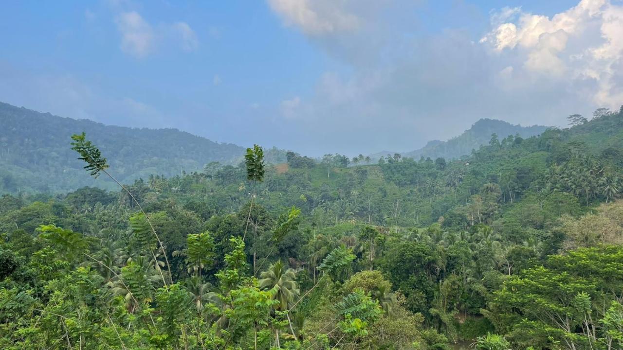 Sinharaja Forest Gate Deniyaya Buitenkant foto