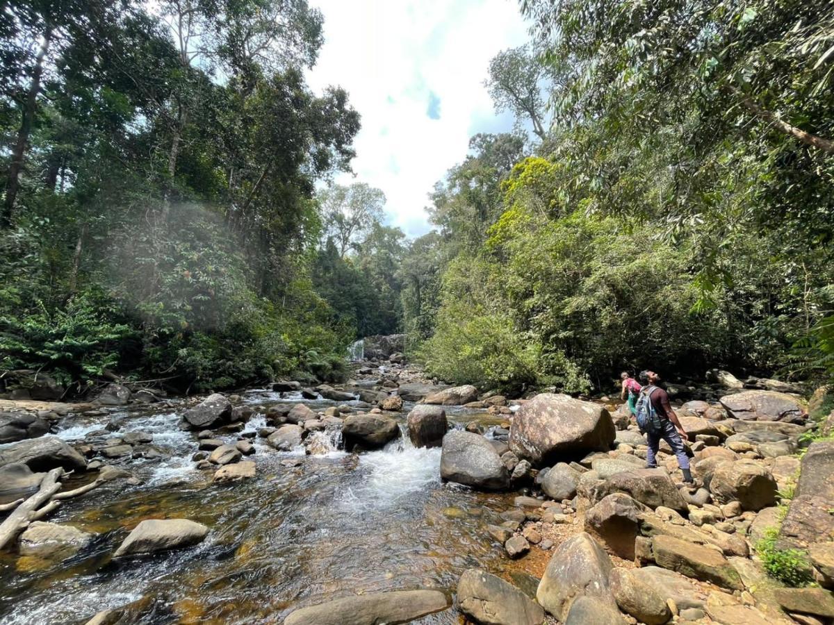 Sinharaja Forest Gate Deniyaya Buitenkant foto