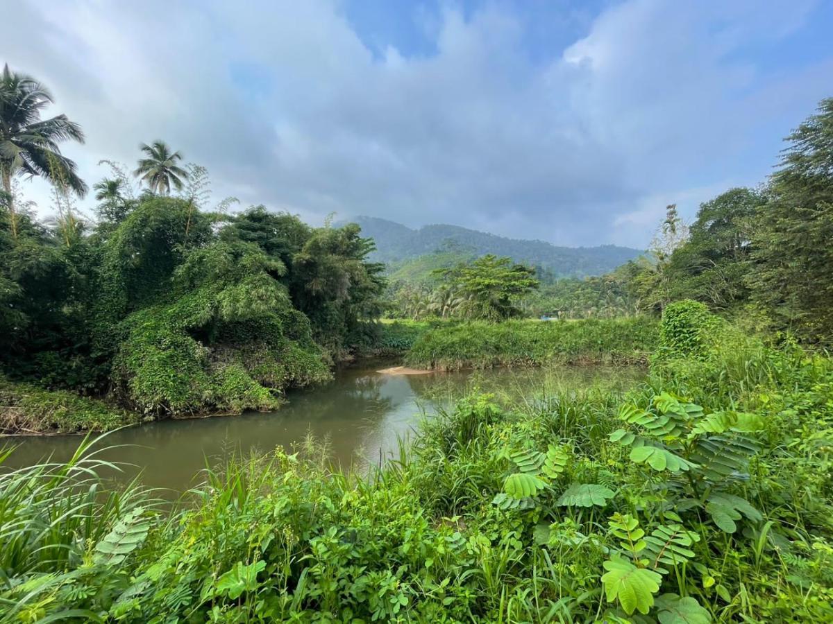 Sinharaja Forest Gate Deniyaya Buitenkant foto