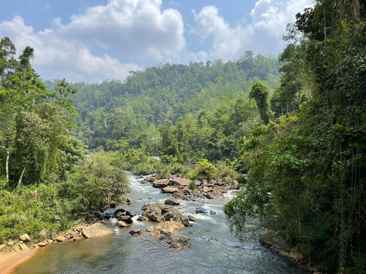 Sinharaja Forest Gate Deniyaya Buitenkant foto