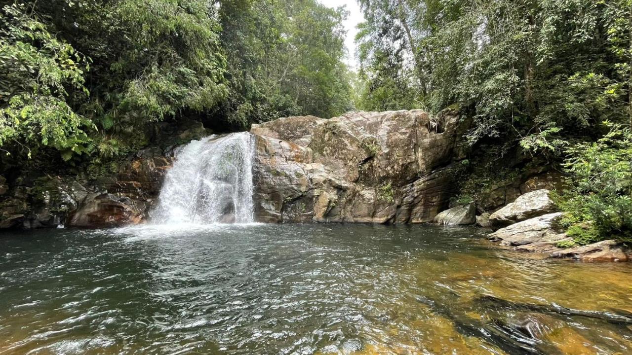 Sinharaja Forest Gate Deniyaya Buitenkant foto