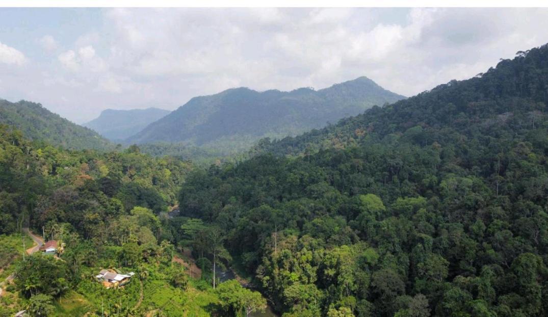 Sinharaja Forest Gate Deniyaya Buitenkant foto