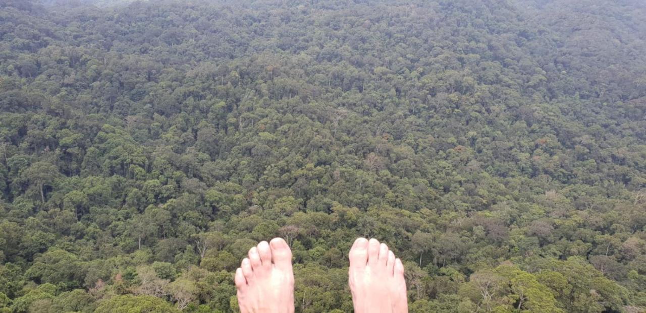 Sinharaja Forest Gate Deniyaya Buitenkant foto