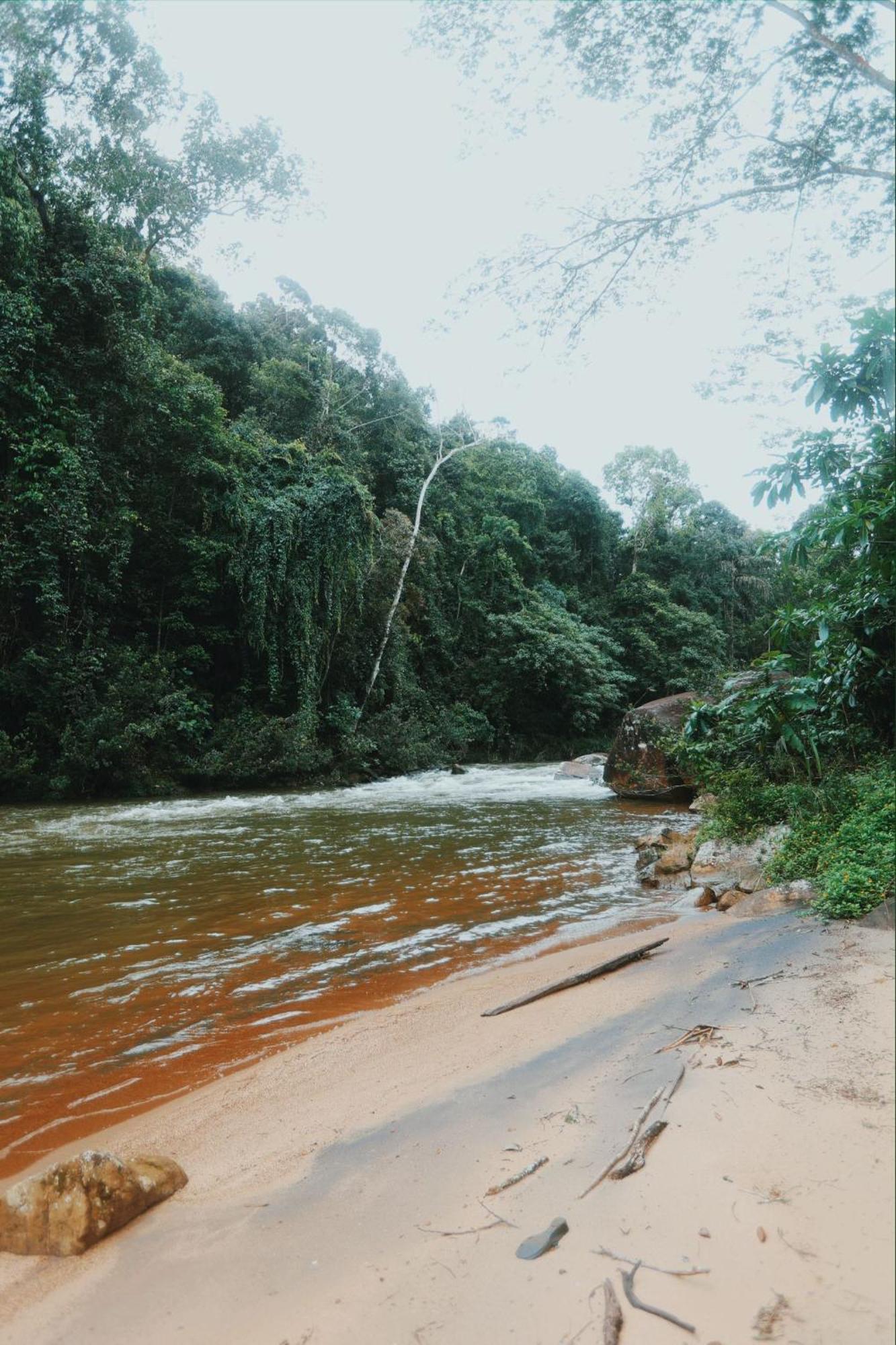 Sinharaja Forest Gate Deniyaya Buitenkant foto