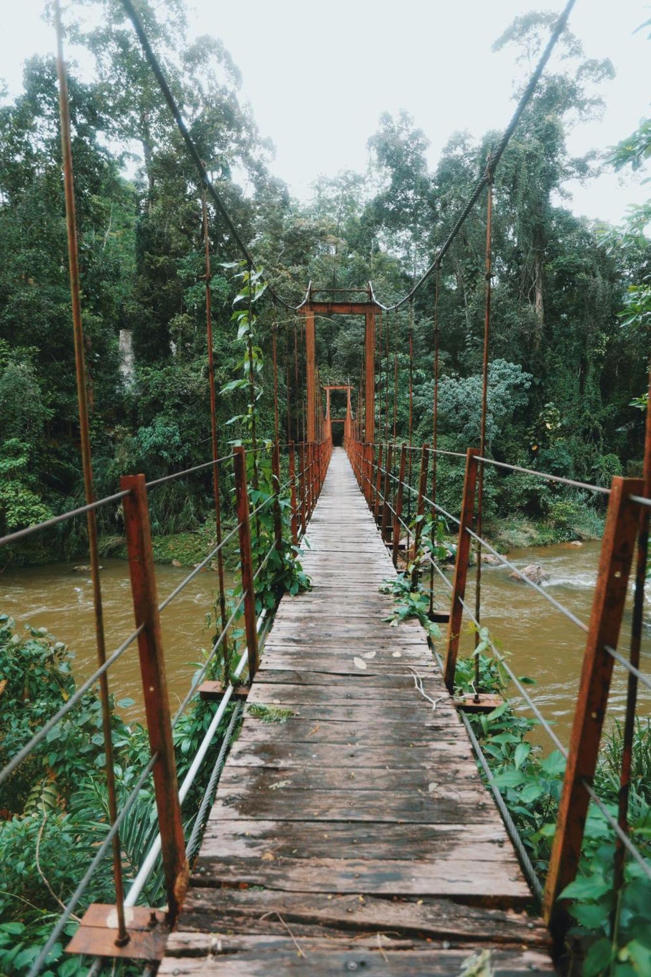 Sinharaja Forest Gate Deniyaya Buitenkant foto