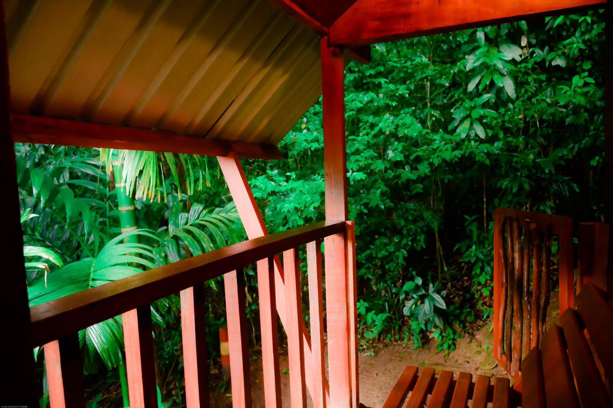 Sinharaja Forest Gate Deniyaya Buitenkant foto